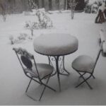 Thumbnail of post image 068