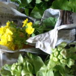 Thumbnail of post image 168