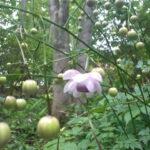 Thumbnail of post image 018