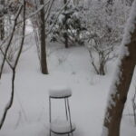 Thumbnail of post image 122
