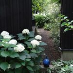Thumbnail of post image 001