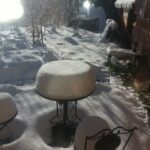 Thumbnail of post image 119