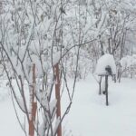 Thumbnail of post image 153