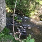 Thumbnail of post image 194